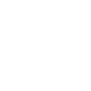 Proyectos Ejecutados
